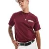 Carhartt WIP University Script T-shirt In Burgundy For Men Red